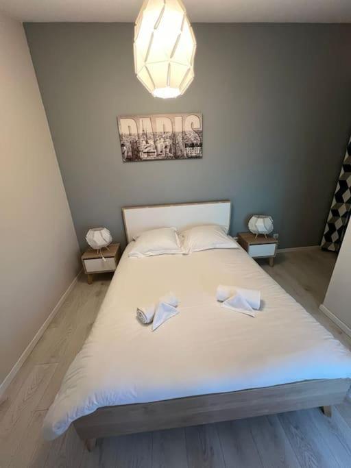 Le Paris Eiffel - Appartement Cosy En Plein Centre Bourgoin-Jallieu Eksteriør billede